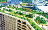 Pháp thông qua luật "phủ xanh" nóc các tòa nhà mới