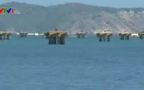 Lãng phí hàng trăm trụ neo tiền tỷ tại Phú Yên