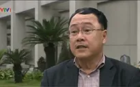 "Quyết định dừng chặt cây chỉ có thể xoa dịu bức xúc của nhân dân"