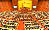 Quốc hội thảo luận dự thảo Bộ luật hình sự (sửa đổi)