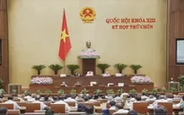 Đề nghị lùi thời gian trình dự án Luật biểu tình sang kỳ họp thứ 11