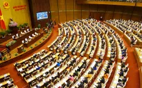 Quốc hội thảo luận về dự thảo Luật Thống kê (sửa đổi)