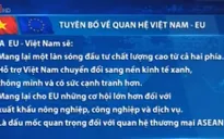 Tuyên bố về quan hệ Việt Nam - EU