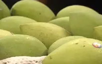 Hà Nội xúc tiến hợp tác tiêu thụ nông sản của địa phương khác