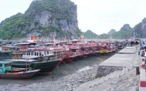 Quảng Ninh, Hải Phòng: Khẩn trương phòng chống bão số 1