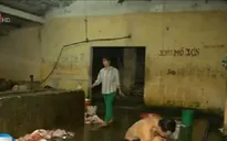 Quảng Trị: Lò mổ không đảm bảo ATVSTP, gây ô nhiễm môi trường
