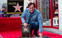 Quentin Tarantino nhận ngôi sao trên Đại lộ Danh vọng Hollywood