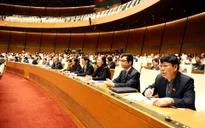 Đa số đại biểu QH tán thành chủ trương xây dựng sân bay Long Thành