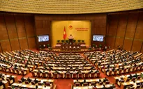Đại biểu Quốc hội nghe báo cáo thẩm tra dự án Bộ luật tố tụng hình sự