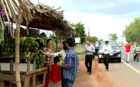Quốc lộ 14 - Cầu nối phát triển kinh tế Tây Nguyên