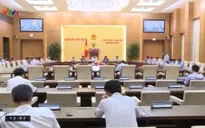 Cho ý kiến về hoạt động giám sát của Quốc hội và Hội đồng nhân dân