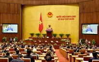Chính phủ đề nghị bổ sung thêm quy định về thuế chống bán phá giá