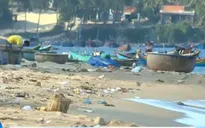 Bãi biển tràn ngập rác thải trong mùa nắng nóng