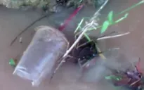 Bình Thuận: Rác thải tràn ngập, Suối Tiên thành “suối rác”