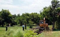 Cần Thơ: Xử phạt 1,4 tỉ đồng về hành vi chôn lấp, đổ chất thải y tế nguy hại