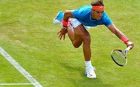 Nadal bị bật bãi khỏi Queen's Club