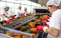 Xuất khẩu rau quả năm nay có thể đạt 2 tỷ USD