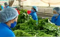 TP.HCM phát triển hệ thống cung cấp thực phẩm sạch