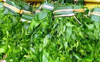 Rau Sắng - Đặc sản vùng đất Phật Hương Sơn