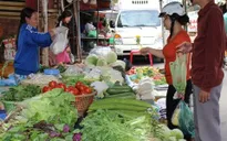 Hà Nội: Giá rau xanh tăng mạnh sau Tết