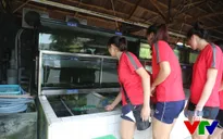 VTV Cup 2015: Nữ tuyển thủ Việt Nam tinh nghịch vớt cá chạch