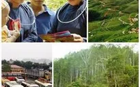 Những chính sách mới có hiệu lực từ tháng 6/2015