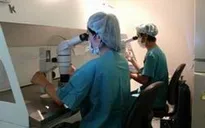 Phụ nữ độc thân có quyền sinh con bằng phương pháp thụ tinh trong ống nghiệm