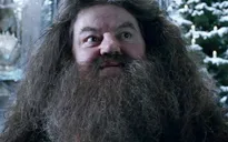 Nam diễn viên trong phim Harry Potter phải nhập viện khẩn cấp