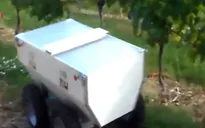 Robot giám sát vườn nho