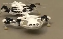 Pleurobot - Robot mô phỏng loài kỳ nhông