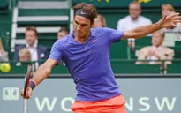 Đả bại đại diện chủ nhà, Federer vào bán kết Gerry Weber Open