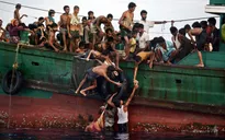 Mỹ cam kết tái định cư cho người Rohingya