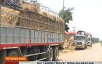 Nhu cầu rơm tăng cao trong mùa nắng hạn