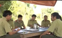Hiệu quả từ mô hình chốt liên ngành bảo vệ rừng giáp ranh