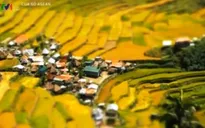 Ruộng bậc thang Cordillera: Điểm du lịch lý tưởng tại Philippines