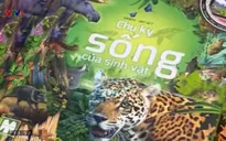 Bộ sách 3D thú vị “Chu kỳ sống của sinh vật”