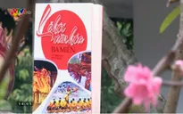 “Lễ hội văn hóa ba miền” – Giá trị truyền thống dân tộc