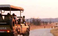 Săn bắn động vật hoang dã trở thành thú vui tại Zimbabwe