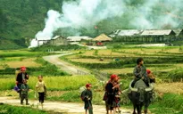 Sa Pa - Điểm đến hút khách dịp Tết Dương lịch 2015