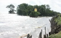Bình Thuận: Biển động mạnh, nhiều nhà dân bị sạt lở