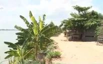 Đồng Tháp: Người dân vùng sạt lở chưa chịu vào cụm tuyến dân cư