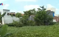 Người dân vùng sạt lở ở An Giang mỏi mòn chờ tái định cư