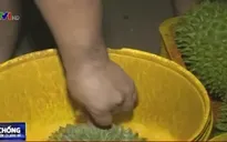 Đăk Lăk: Tiêu huỷ hơn 1.300kg sầu riêng nhúng hoá chất