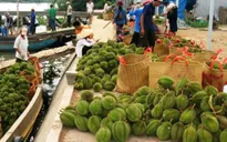 Sầu riêng cuối mùa tăng giá