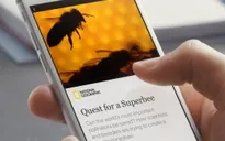 Facebook Instant Articles rolls out in Vietnam