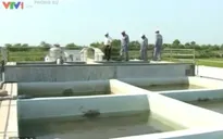 Nước sạch nông thôn – Điểm nhấn tại Thái Bình