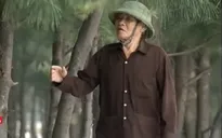 Cựu chiến binh hơn 30 năm tình nguyện trồng cây chắn sóng