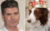 Simon Cowell: Quán quân Britain’s Got Talent không có ý lừa khán giả