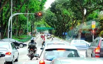 Khám phá hệ thống cây xanh đô thị tại Singapore