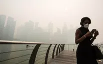 Singapore đóng cửa trường học do khói mù